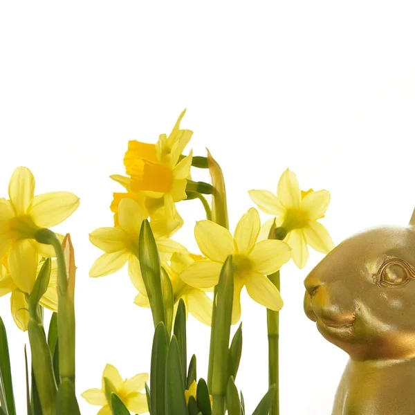 足球投注棋牌游戏